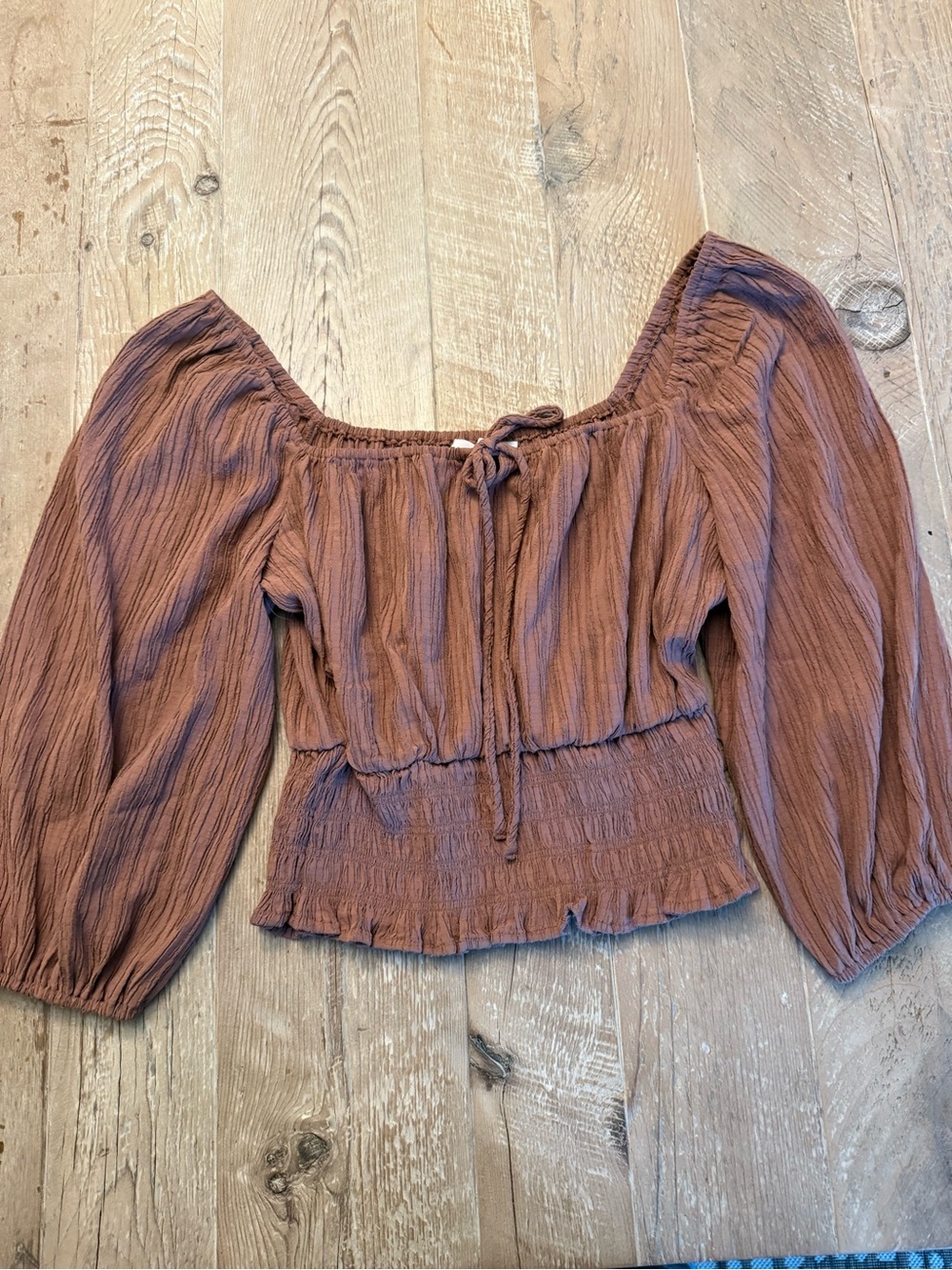 Lush Rust Brown Smocked Crop Peasant Top S